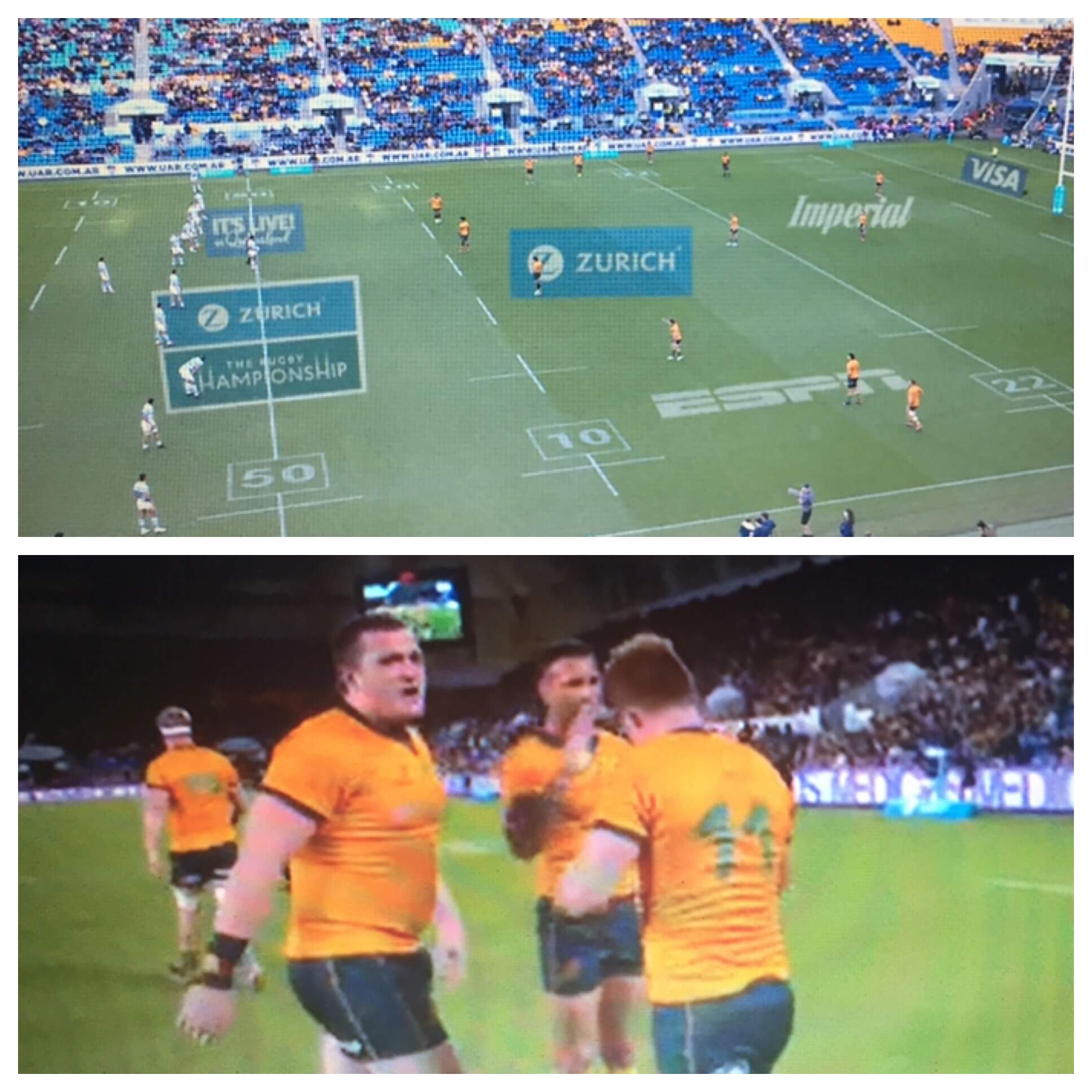 Rugby News, Wallabies complete their 2021 Rugby Championship campaign with four straight wins in their last four games against both Springboks & Pumas