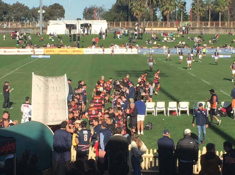 2022  @Shute Shield   Week 18 Game:  @Northern Suburbs Rugby Union  v  @Easts Rugby ​