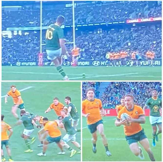 Wallabies v Springboks 3