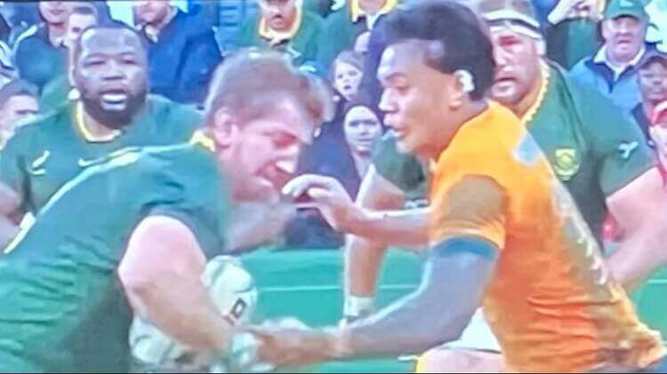 Wallabies v Springboks 4