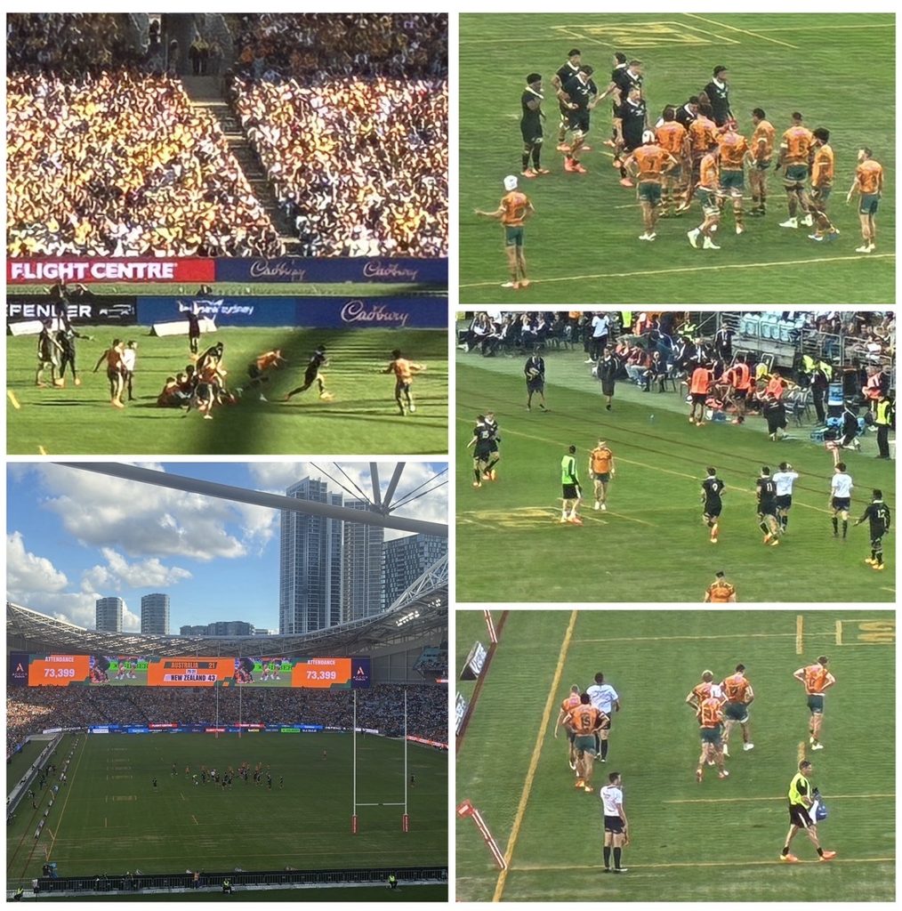 Sports News This Week 19th October 2026: Bledisloe Cup Game II at Accor Stadium, on-site.